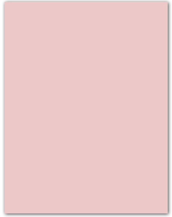 Cartulina IRIS 50x65 185g rosa Paquete 25