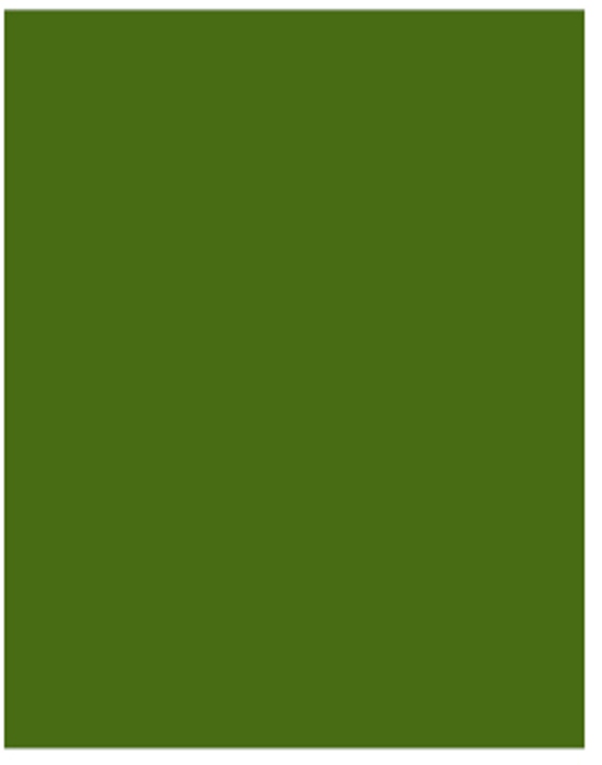 Cartulina IRIS A4 185g verde safari Pack 50