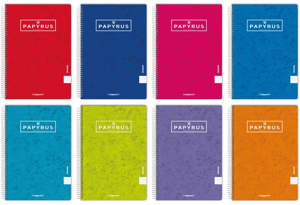 Cuaderno PAPYRUS T.Contracolada F 4x4 c/m 80h 90g